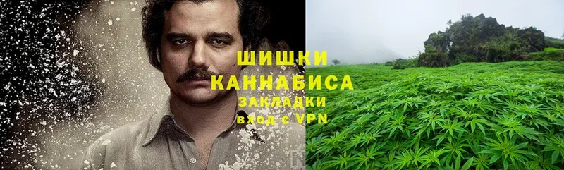 Каннабис Ganja  Венёв 